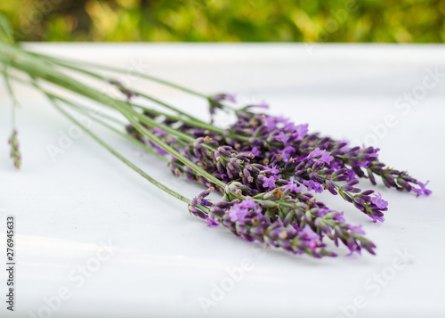 Lavender flowers in closeup. Bunch of lavender flowers