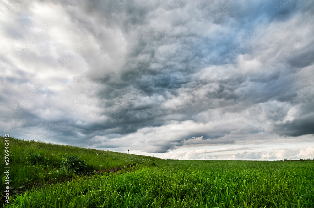Green wheat field with low clouds and dramatic clouds after sunset. Rich contrast Green wheat field with low clouds and dramatic clouds after sunset. Rich contrast