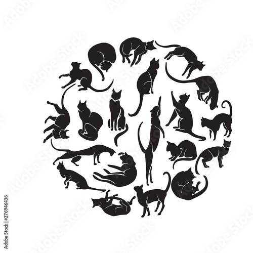 Hand Drawn Vector Cat Silhouette set