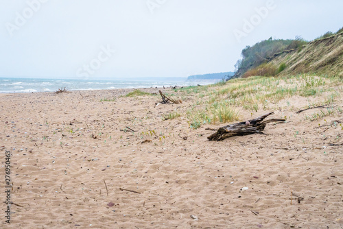 Baltic Sea and sandy beach; part of the tree trunk lies in the sand; along the sea is a steep coast