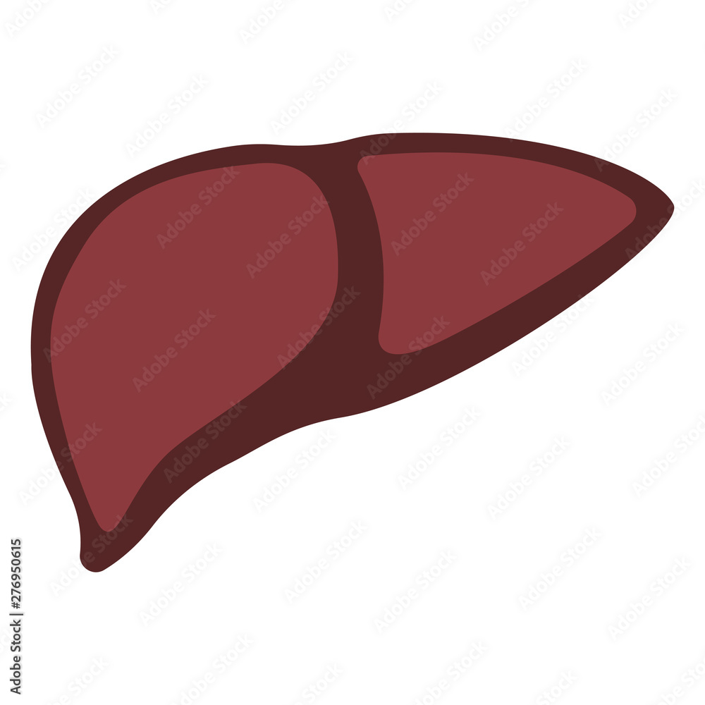 Liver icon in trendy flat style isolated on white background. Symbol for your web site design, logo, app, UI. Vector illustration, EPS Liver icon in trendy flat style isolated on white background. Symbol for your web site design, logo, app, UI. Vector illustration, EPS