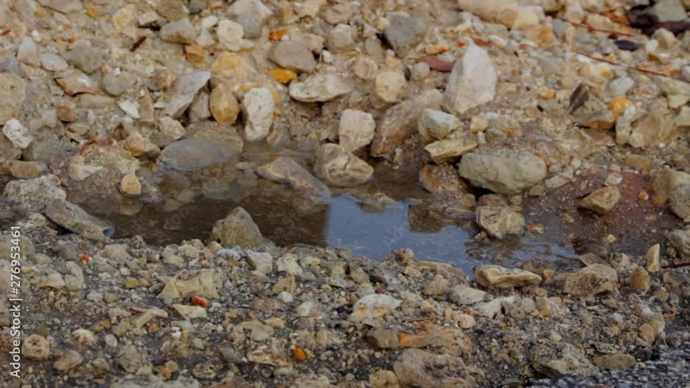 Rain Water Puddle and Rocks Rain Water Puddle and Rocks