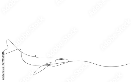 Photography Whale on the ocean vector illustration
