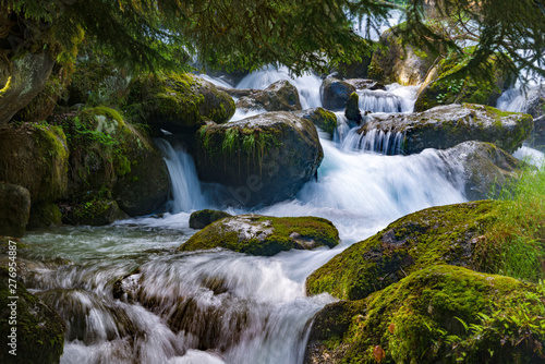 A stormy mountain river flows among huge stones in the forest slopes of the Caucasus Mountains.