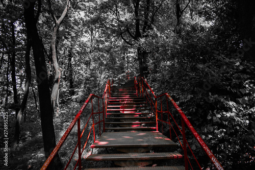 Fototapeta Naklejka Na Ścianę i Meble -  red metal stair in green forest. Ukraine