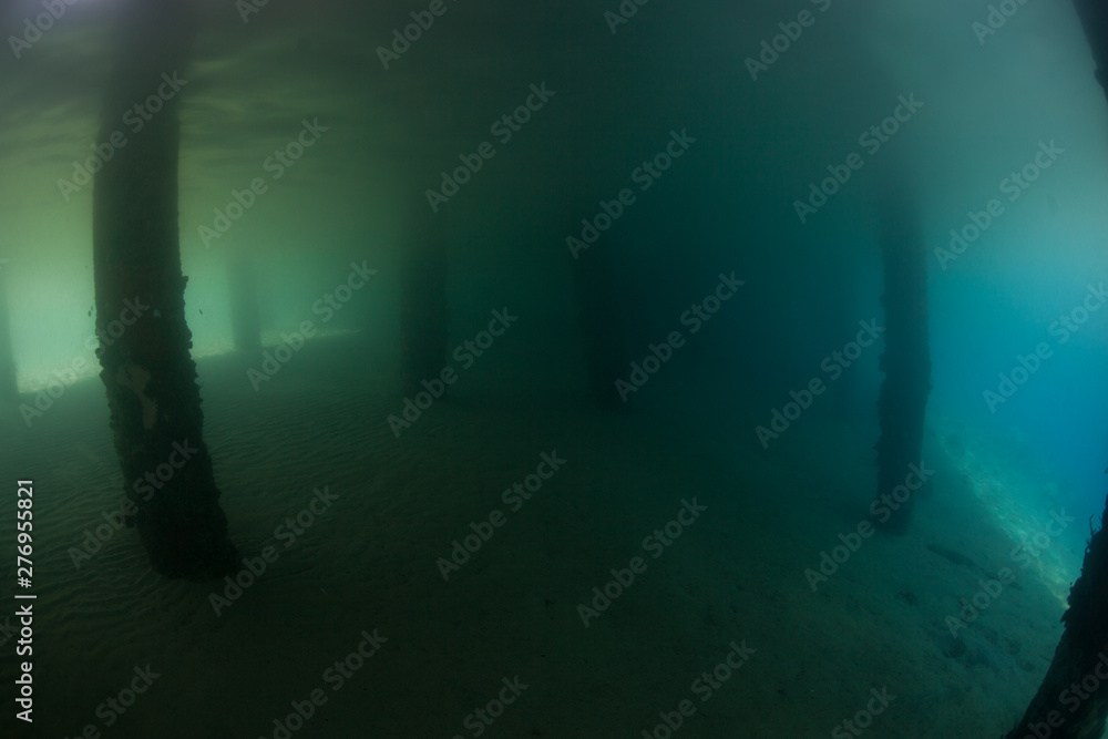 A jetty in Indonesia provides shadowed sandy habitat in which some marine species flourish. This tropical region is known for its high marine biodiversity. A jetty in Indonesia provides shadowed sandy habitat in which some marine species flourish. This tropical region is known for its high marine biodiversity.