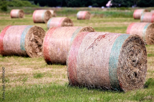 Wallpaper Mural bales of hay Torontodigital.ca