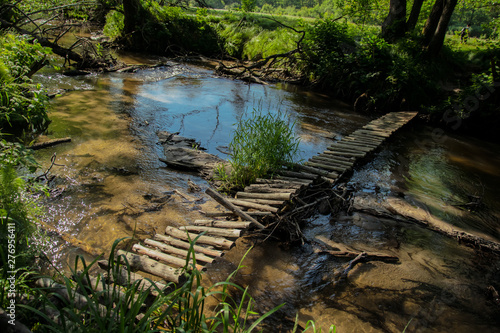 bridge over the river in the forest