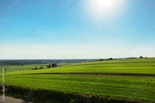 landscape with green field and blue sky