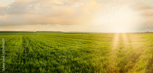 Image of green grass field and evening cloudy sunshne