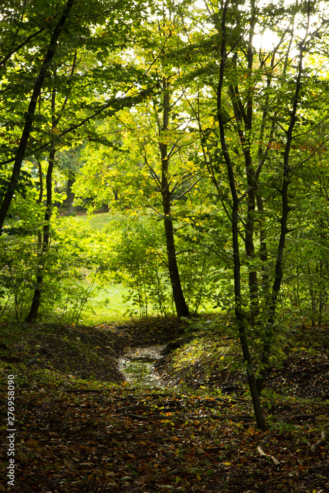 Fototapeta premium sunny autumn days in park of Copenhagen Area