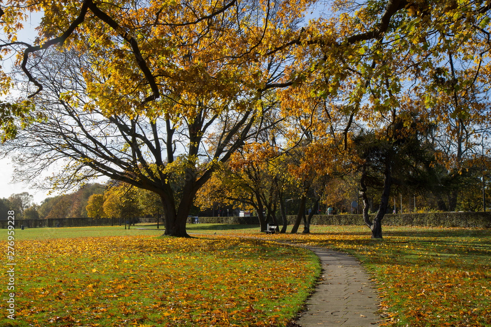 Fototapeta premium sunny autumn days in park of Copenhagen Area