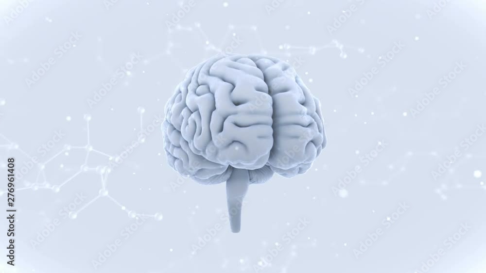 Brain human body anatomy DNA life science concept image Brain human body anatomy DNA life science concept image