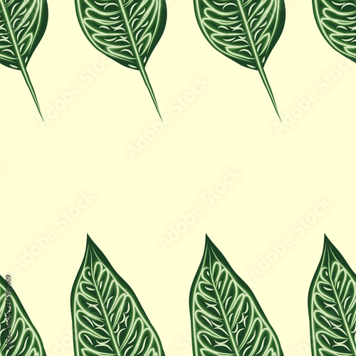 Seamless pattern with leaves of ficus benjamin on green background