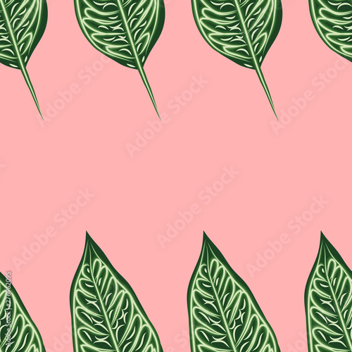 Seamless pattern with leaves of ficus benjamin on green background