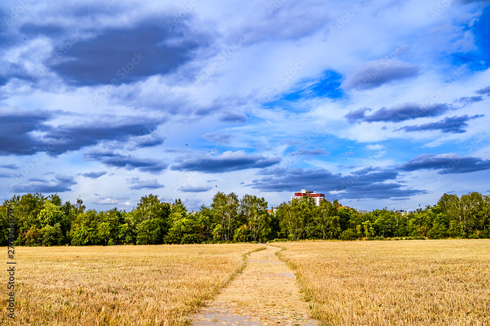 Path through a harvested field to a satellite city in Berlin-Marienfelde illuminated by the sun and under a dramatic cloudy sky. Path through a harvested field to a satellite city in Berlin-Marienfelde illuminated by the sun and under a dramatic cloudy sky.
