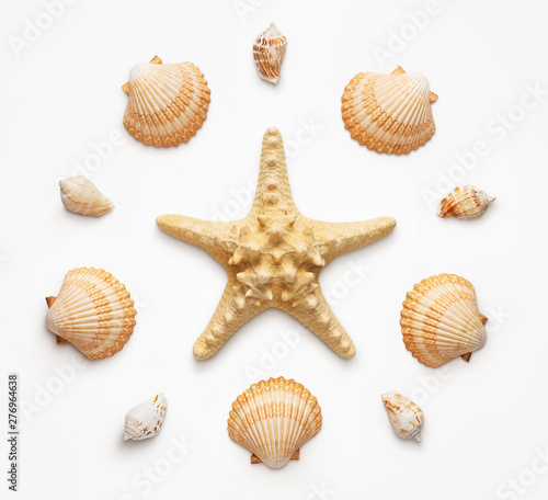 High angle view of seashells and starfish isolated on light grat background