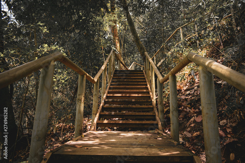 Escaleras de Madera en Reserva Ecol  gica Parque Manuel Antonio