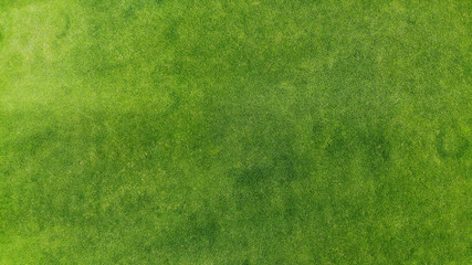 Aerial. Green grass texture background. Top view from drone.
