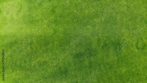 Aerial. Green grass texture background. Top view from drone. © Dmytro