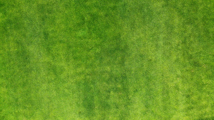 Aerial. Green grass texture background. Top view from drone.