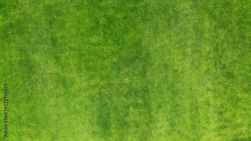 Aerial. Green grass texture background. Top view from drone.