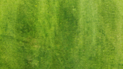 Aerial. Green grass texture background. Top view from drone.