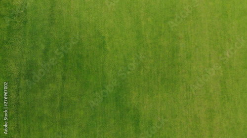 Aerial. Green grass texture background. Top view from drone.