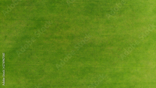 Aerial. Green grass texture background. Top view from drone.