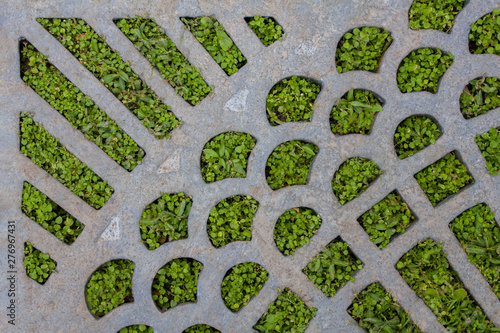 old gray cast-iron grate with bright fresh green grass. rough surface texture