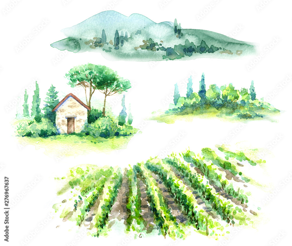 Watercolor Fragments of Rural Scene with Hills, Vineyard  and Trees - obrazy, fototapety, plakaty 