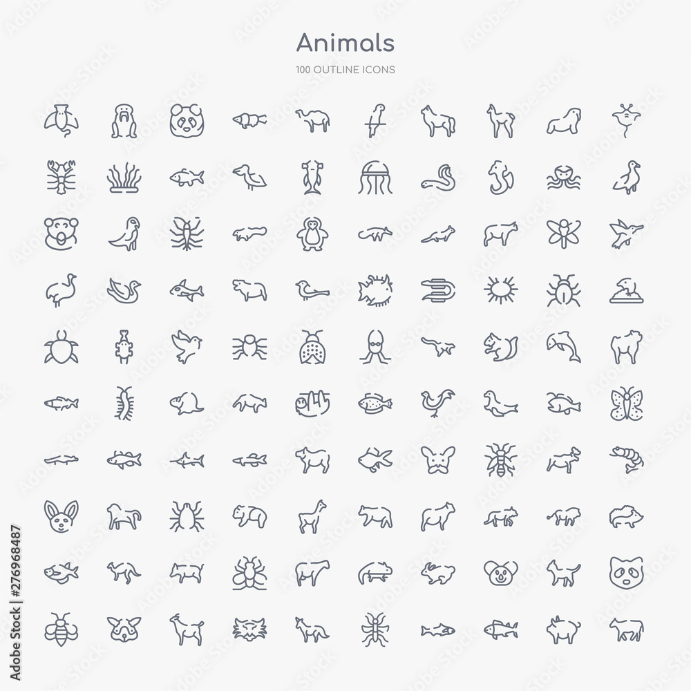 100 animals outline icons set such as cow, tuna, salmon, mosquito, fox, tiger, goat, guinea pig heag 100 animals outline icons set such as cow, tuna, salmon, mosquito, fox, tiger, goat, guinea pig heag