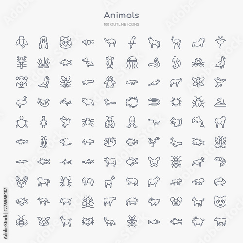 100 animals outline icons set such as cow, tuna, salmon, mosquito, fox, tiger, goat, guinea pig heag