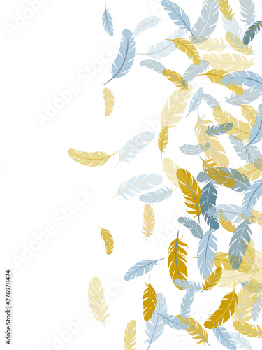 Falling feather elements soft vector design.
