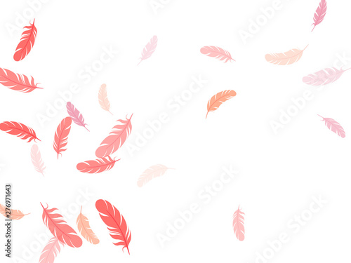 Falling feather elements soft vector design.