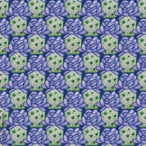 023-SUCULENTS C02-09