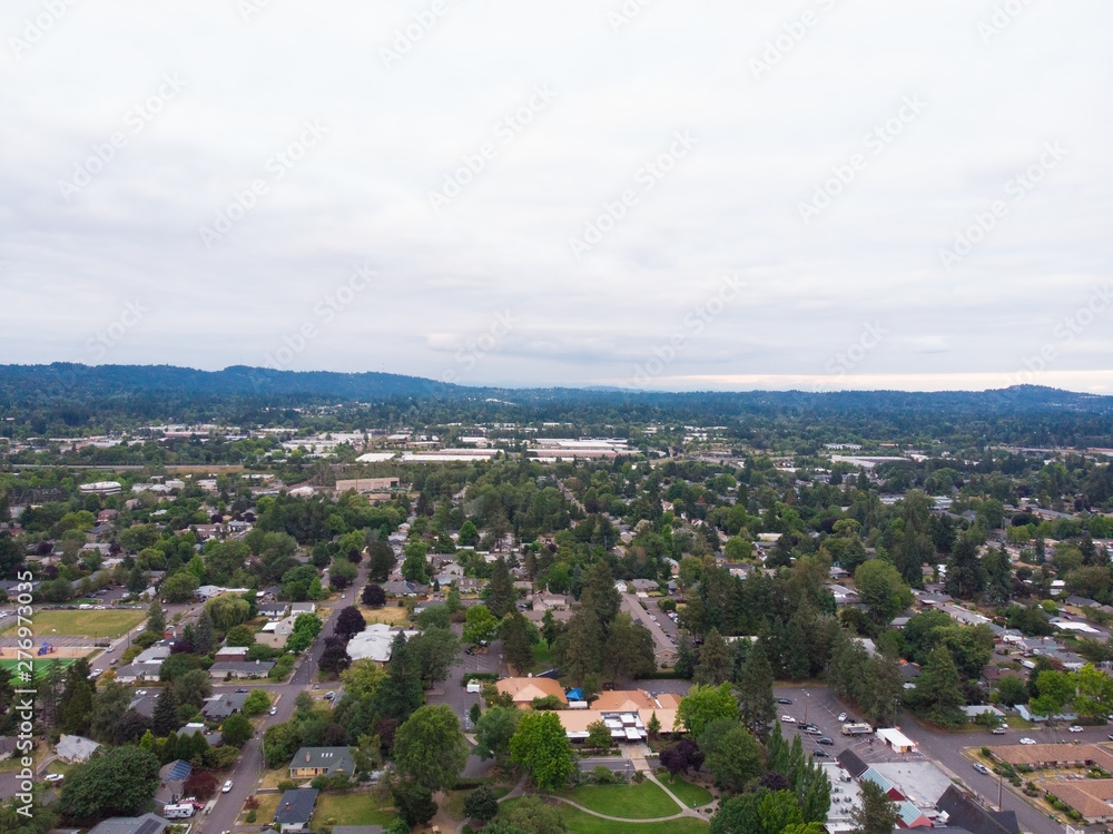 Fototapeta premium Photo suburb, top view, landscape shooting