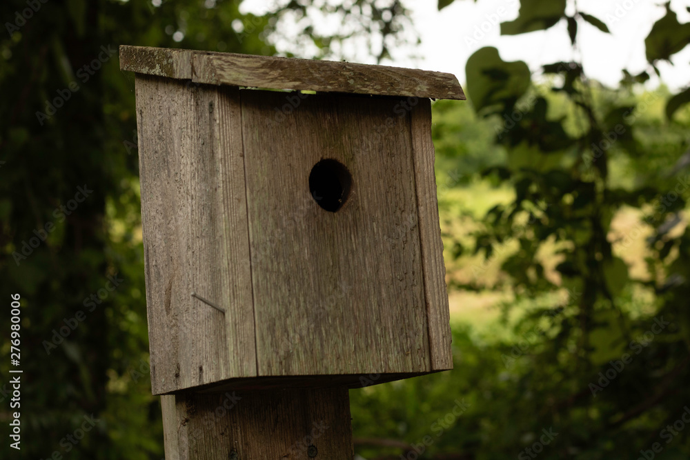 A birdhouse on a walking trail