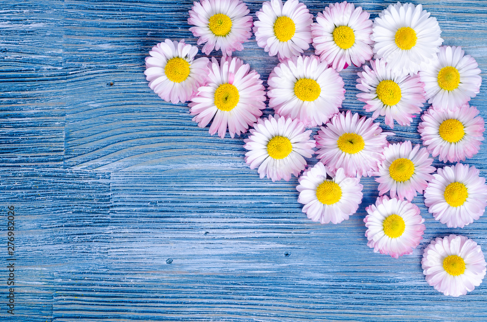 Obraz premium Summer flowers on blue wooden background. Photo