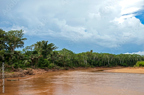 River floating through green Rainforest, Bolivia, Madidi National Park at golden hour
