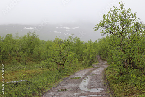 Road in bog at Nikkaluokta in Sweden on a rainy day