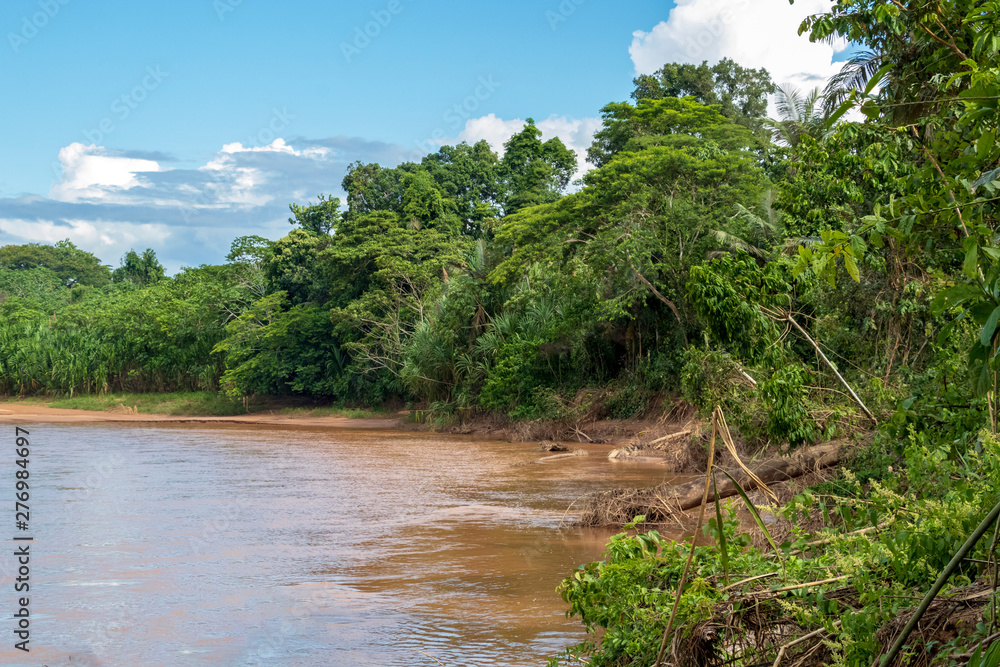 River floating through green Rainforest, Bolivia, Madidi National Park at golden hour River floating through green Rainforest, Bolivia, Madidi National Park at golden hour