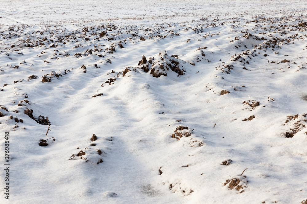 Fototapeta premium plowed field under snow