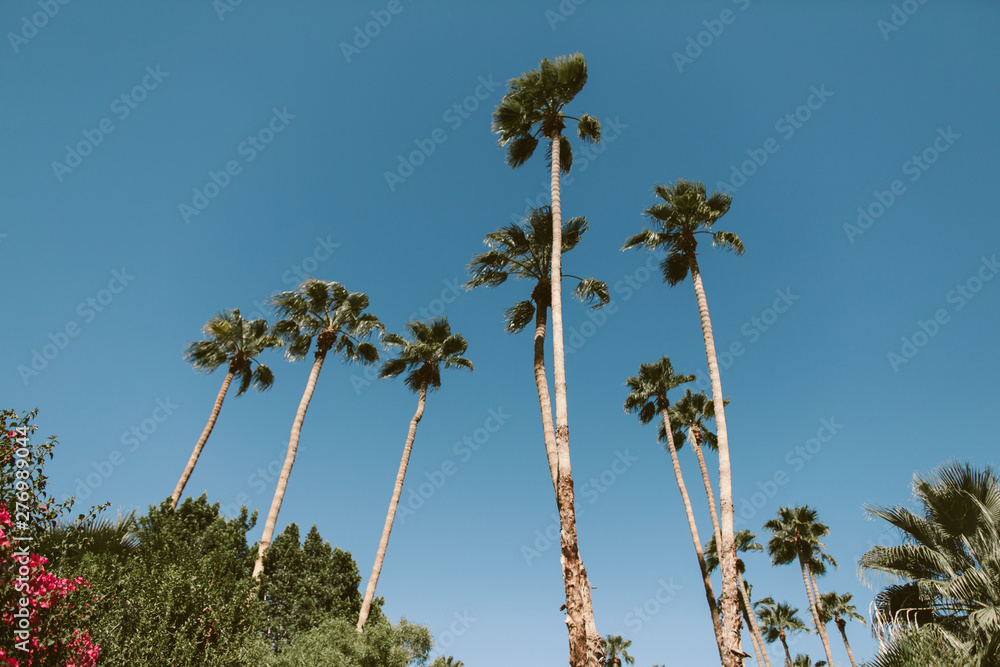 palm springs vacation views
