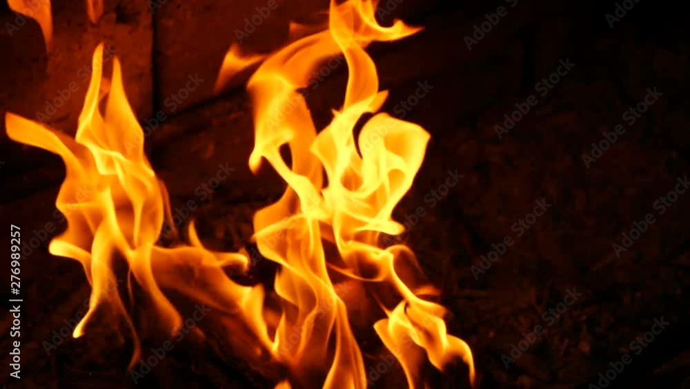 book pages are burning in fire. Bonfire of Burning Books book pages are burning in fire. Bonfire of Burning Books