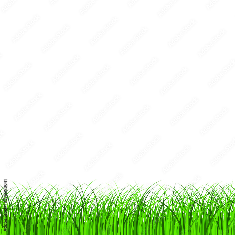 Fragment of a beautiful green grass isolated on a white, Vector illustration Fragment of a beautiful green grass isolated on a white, Vector illustration