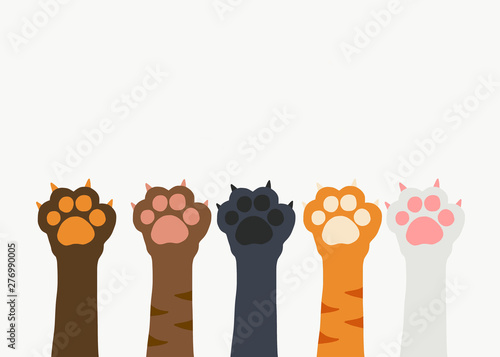 Photography Cat paw teamwork cartoon on white background with copy space