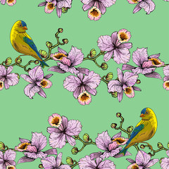 Wandcirkels Orchidee patronen Vogels op orchideeëntakken in bloei  © ilyukolga