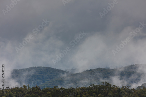 A severe weather mass of clouds over a gully filled with gum trees