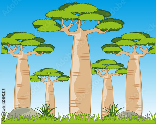 Beautiful year landscape with with tree baobab